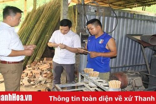 Sản xuất ống hút thân thiện với môi trường từ nứa dại