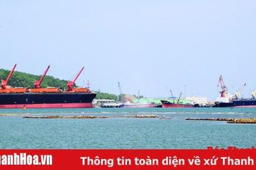 Đã có 34 chuyến tàu container quốc tế cập Cảng Nghi Sơn