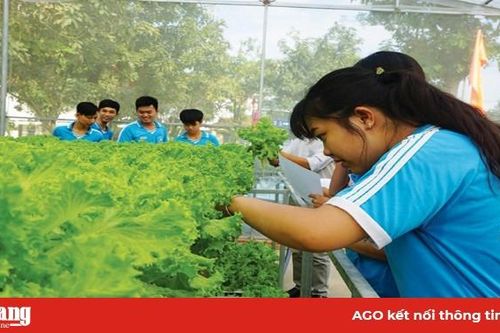 Phú Tân: Nhân rộng mô hình trồng rau nhà lưới ở các trường THPT