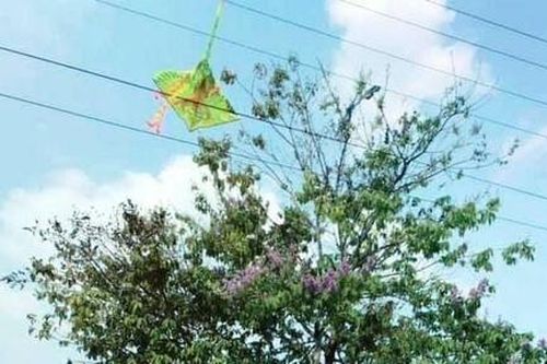 Gỡ diều trên đường dây điện, người phụ nữ tử vong thương tâm