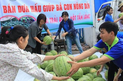 Không lẽ giải cứu mãi