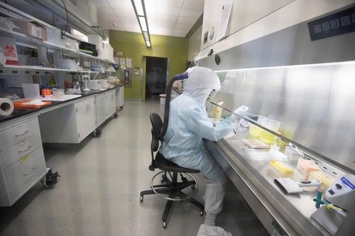 Mỹ 'ra lò' lô vaccine thử nghiệm đầu tiên cho virus corona