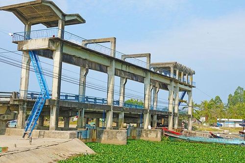 Chủ động phòng, chống hạn, mặn tại đồng bằng sông Cửu Long