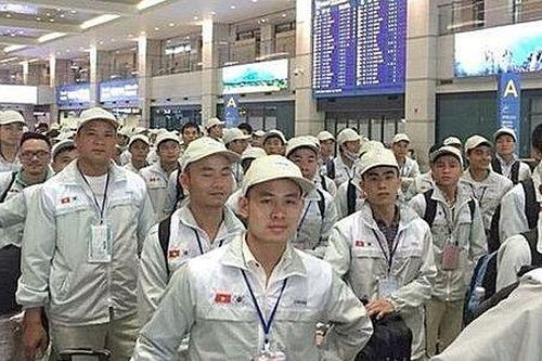 Dịch Covid-19: Triển khai ứng dụng kết nối, hỗ trợ người lao động Việt Nam ở nước ngoài