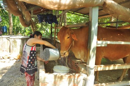 Cận cảnh người dân quay cuồng với hạn mặn khốc liệt chưa từng có ở ĐBSCL