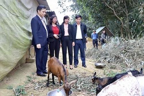 Kiểm tra hiệu quả mô hình xây dựng Nông thôn mới của Hội Liên hiệp Phụ nữ tỉnh
