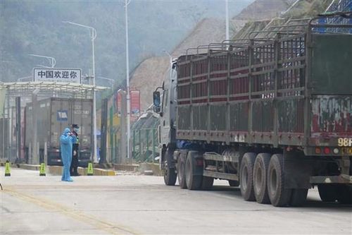 Lạng Sơn khôi phục hoạt động thương mại của cư dân biên giới
