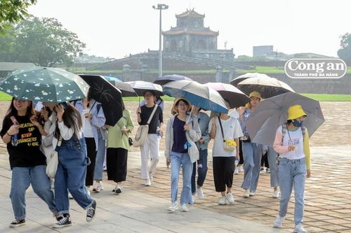 Nhiều tàu du lịch quốc tế hủy lịch trình đến Huế