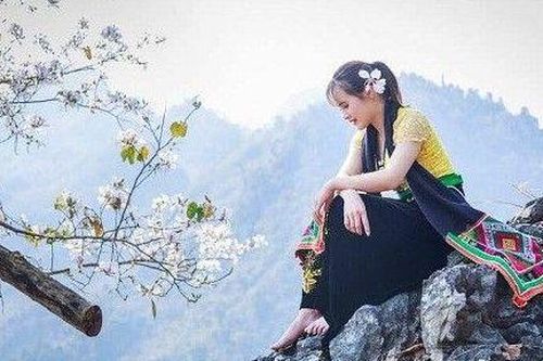 Ngắm hoa ban trắng tinh khôi giữa trời Tây Bắc
