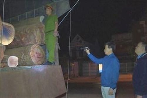 Dùng 'hồ sơ giả' để vận chuyển gỗ lậu từ Đắk Lắk đi Tây Ninh