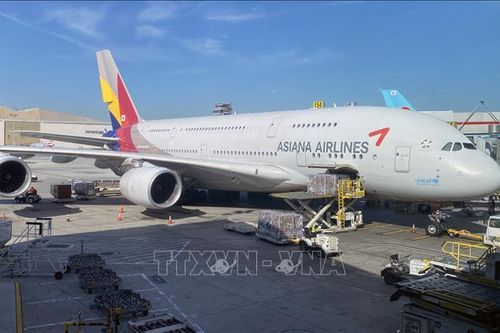 Các hãng hàng không cắt giảm chi phí trước cảnh báo về COVID-19
