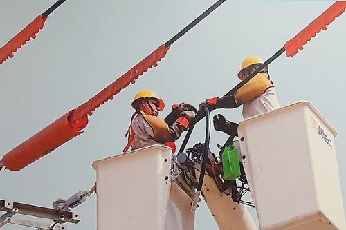 Ngành điện TP. Hồ Chí Minh: Đảm bảo cung ứng đủ điện cho phát triển kinh tế, xã hội mùa khô