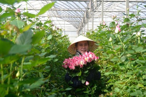 Lâm Đồng: Đón đầu các hiệp định thương mại thế hệ mới