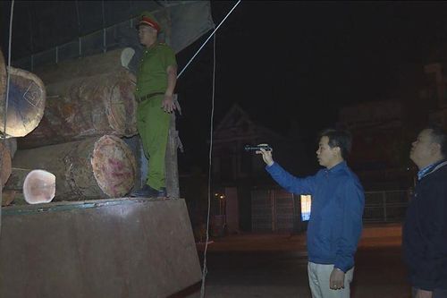 Dùng hồ sơ giả để vận chuyển gỗ trái phép