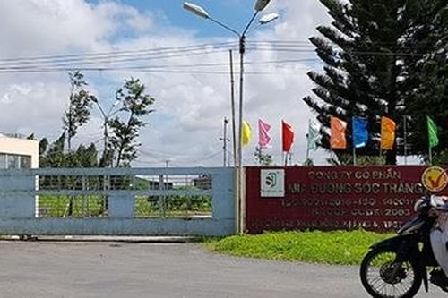 Công ty Mía đường Sóc Trăng thua kiện công nhân