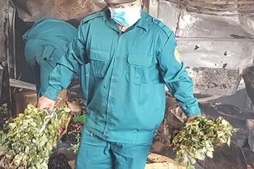 Hỏa hoạn thiêu rụi kho chứa hoa hồng trước lễ 8-3