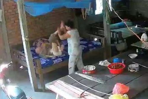 Công an làm rõ nghi vấn cụ bà bị con dâu bạo hành
