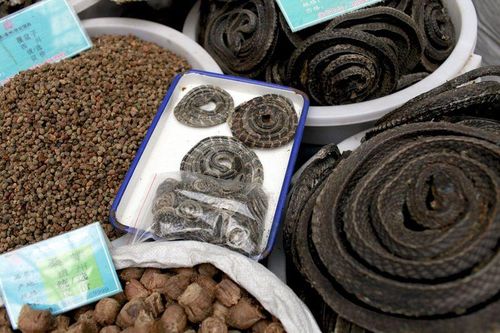 Trung Quốc cấm buôn bán động vật hoang dã, nông dân nuôi hươu khốn đốn