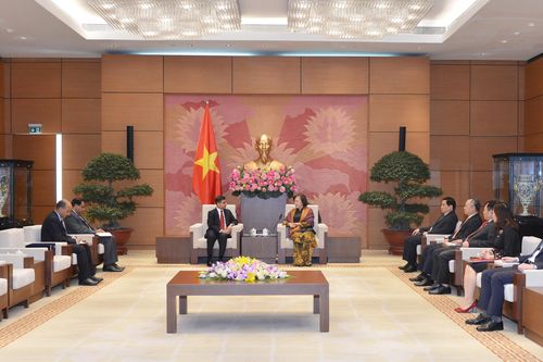 Chủ tịch Quốc hội Nguyễn Thị Kim Ngân tiếp Đại sứ Ấn Độ tại Việt Nam