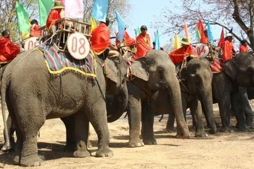 Truyền thuyết về kho báu khổng lồ của vua Voi (kỳ 2)