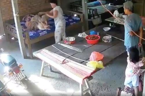 Cụ bà 88 tuổi ở miền Tây bị con dâu và con trai bạo hành dã man