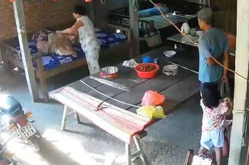 Nghi vấn con trai cùng con dâu bạo hành mẹ già 88 tuổi