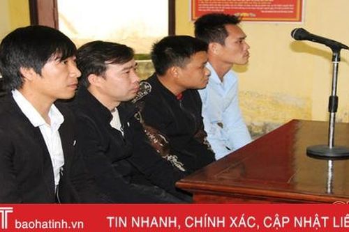 4 'bác thằng bần' ở 'làng Hàn Quốc' lĩnh 26 tháng tù