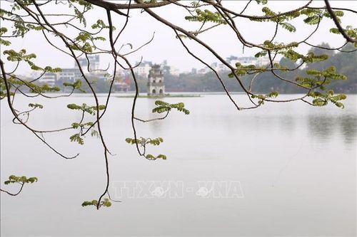 Hồ Gươm khúc giao mùa