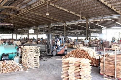 Ngành gỗ sẽ đối diện với một năm đầy biến động
