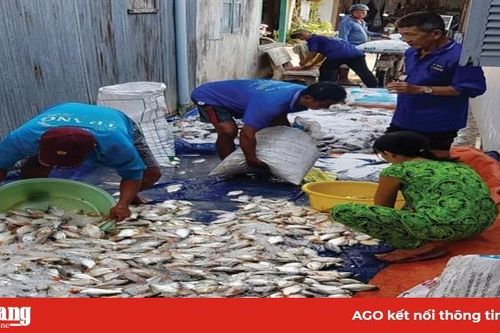 Khẩn trương di dời lồng bè trên khu vực sông Cái Vừng