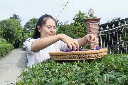 Người trẻ với khát vọng khởi nghiệp