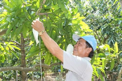 Kỳ 3: Thay đổi từ những điều nhỏ nhất