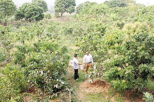 Nông dân Sông Mã thi đua sản xuất, kinh doanh giỏi