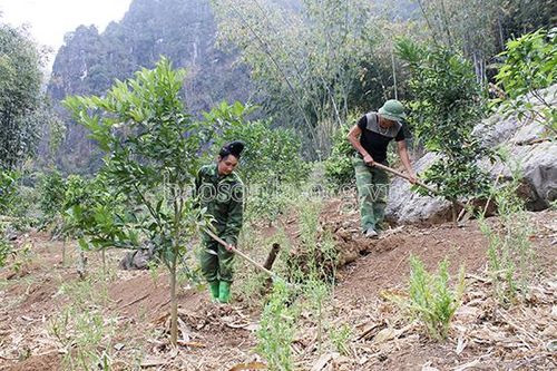 Mô hình CLB khuyến nông ở Chiềng Mai