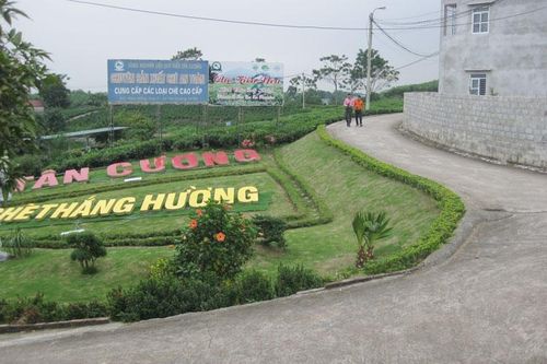 Phát triển làng nghề gắn với du lịch - lợi ích kép