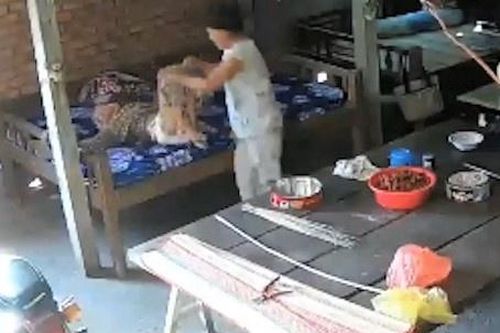 Tạm giam vợ chồng bạo hành mẹ già 88 tuổi