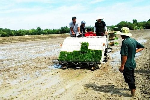 Đẩy mạnh cơ giới hóa trong sản xuất nông nghiệp
