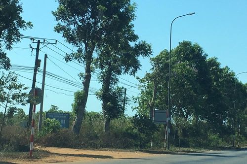 Sau cơn 'sốt đất' bất thường, Bình Ba trở về vắng lặng