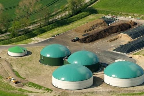 Pháp: Nghề chăn nuôi và sản xuất biogas phát triển mạnh