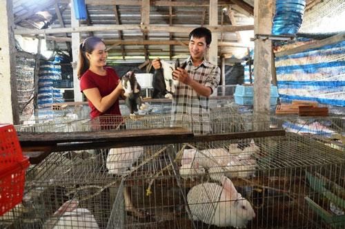 Quảng Ngãi: Nuôi thỏ kết hợp trồng măng tây theo hướng hữu cơ để bảo vệ môi trường