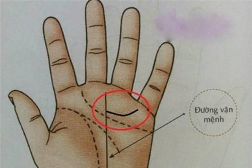 Xòe bàn tay rồi nhìn điểm này đúng 5 giây, biết ngay đâu là bàn tay của người tiêu tiền cả đời không hết
