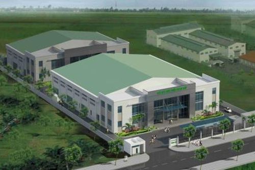 Dược phẩm Phong Phú tạm ứng cổ tức 8%