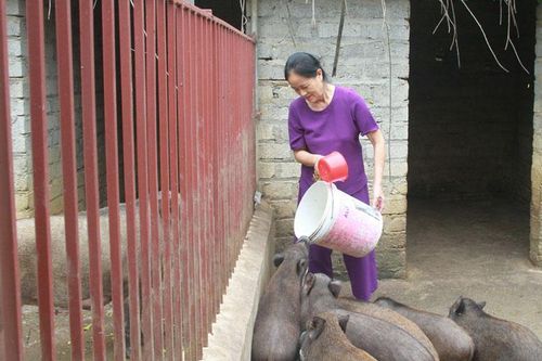 Xây dựng hội bằng những việc làm thiết thực