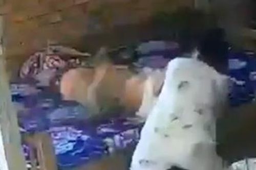 Phẫn nộ vụ mẹ già 88 tuổi bị vợ chồng con trai bạo hành, 'Thiếu tướng' Hoa Hữu Long lừa đảo tuyển dụng