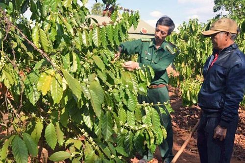 Bộ đội Biên phòng tham gia phát triển kinh tế - xã hội địa bàn