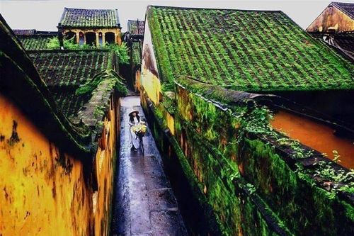 Hẻm nhỏ Hội An - Dòng chảy của thời gian