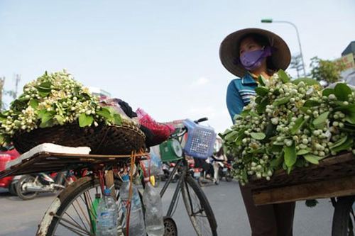 Dự báo thời tiết ngày 1/3, Hà Nội có sương mù, miền Nam nắng nóng