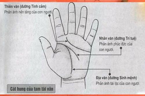 5 điểm cực hiếm trên bàn tay là 'thần Tài hộ mệnh', báo hiệu người khổ trước sướng sau, vãn niên giàu có