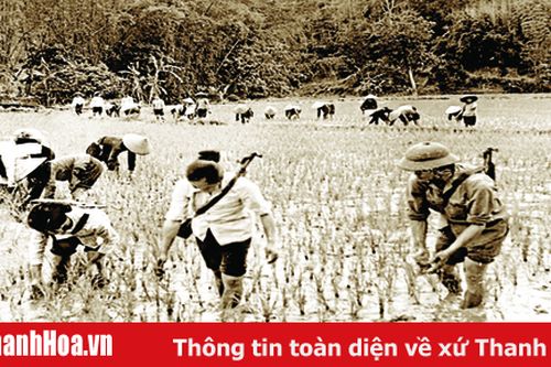 Nhân dân Thanh Hóa thi đua sản xuất và chiến đấu 'Vì miền Nam ruột thịt, vì Quảng Nam kết nghĩa'
