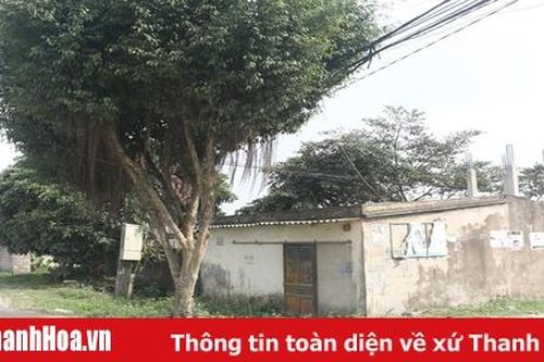 Cần giải quyết dứt điểm vụ việc đất đai của gia đình ông Ngô Văn Yên, xã Lĩnh Toại (Hà Trung)
